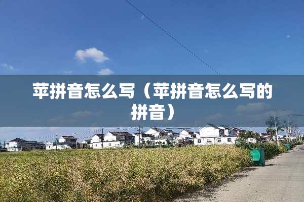 苹拼音怎么写（苹拼音怎么写的拼音）