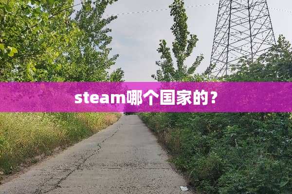 steam哪个国家的？