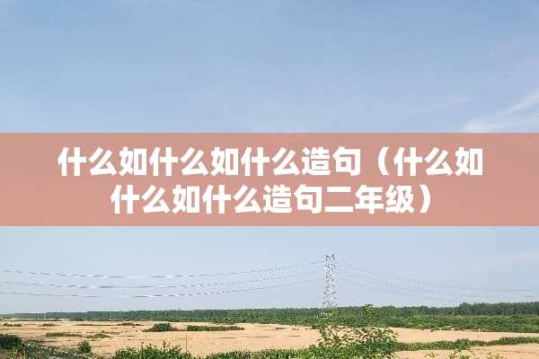 什么如什么如什么造句（什么如什么如什么造句二年级）