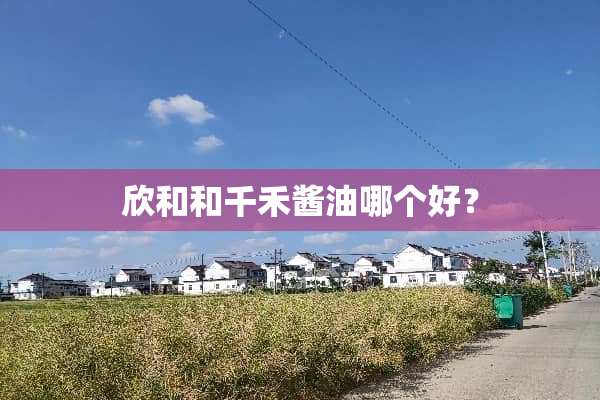 欣和和千禾酱油哪个好？