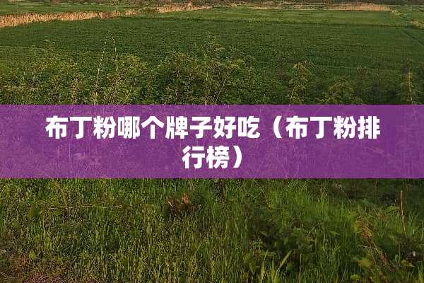 布丁粉哪个牌子好吃（布丁粉排行榜）