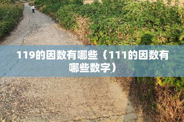 119的因数有哪些（111的因数有哪些数字）