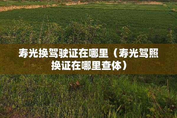寿光换***在哪里（寿光驾照换证在哪里查体）