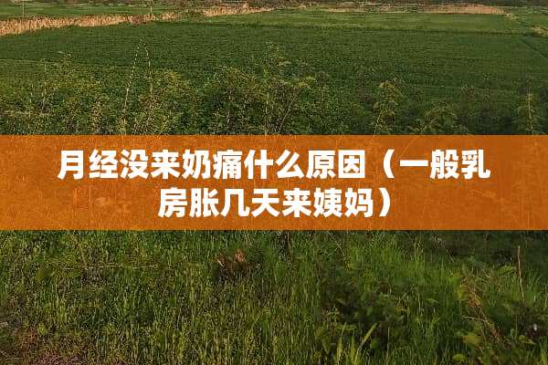 月经没来奶痛什么原因（一般*房胀几天来姨妈）