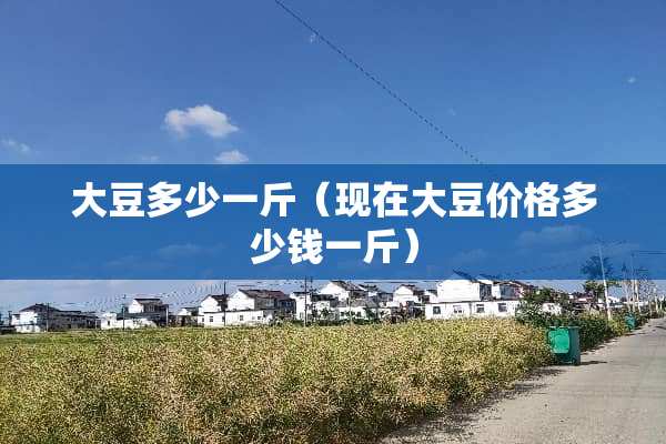 大豆多少一斤（现在大豆价格多少钱一斤）