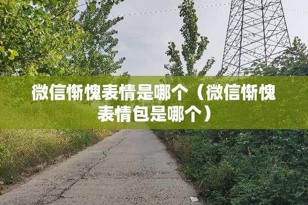 微信惭愧表情是哪个（微信惭愧表情包是哪个）