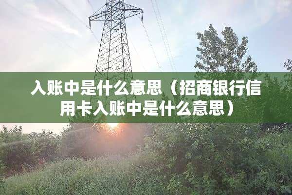 入账中是什么意思（招商银行***入账中是什么意思）