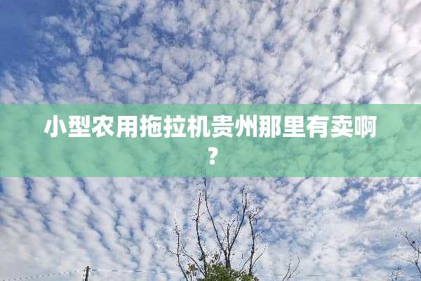 小型农用拖拉机贵州那里有卖啊？