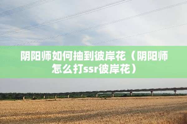 *阳师如何抽到彼岸花（*阳师怎么打ssr彼岸花）