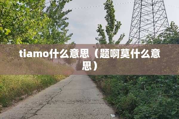 tiamo什么意思（题啊莫什么意思）
