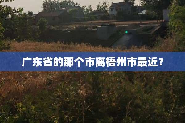 广东省的那个市离梧州市最近？