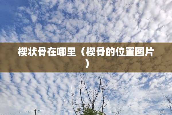 楔状骨在哪里（楔骨的位置图片）