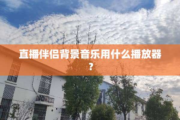 直播伴侣背景音乐用什么播放器？