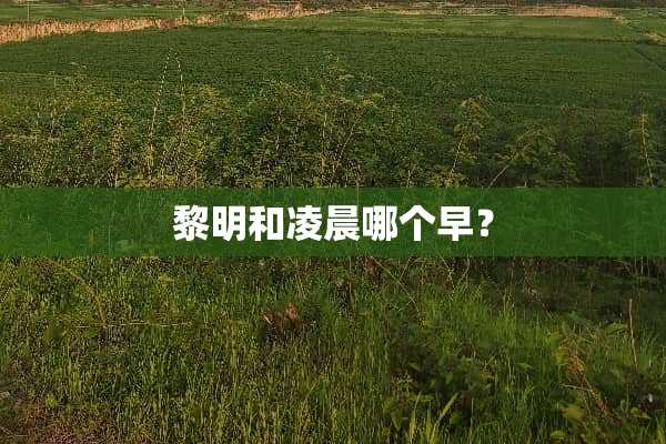 黎明和凌晨哪个早？