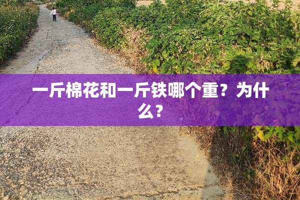 一斤棉花和一斤铁哪个重？为什么？