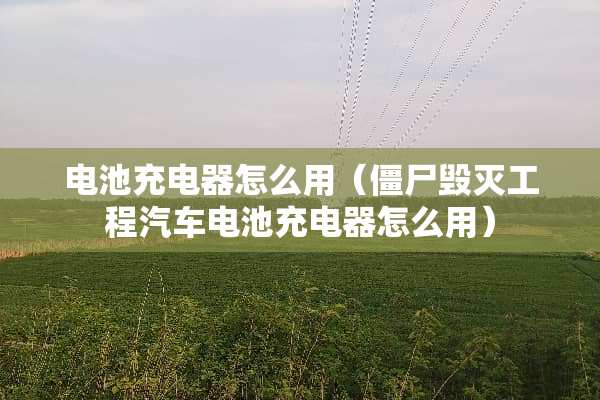 电池充电器怎么用（僵尸毁灭工程汽车电池充电器怎么用）
