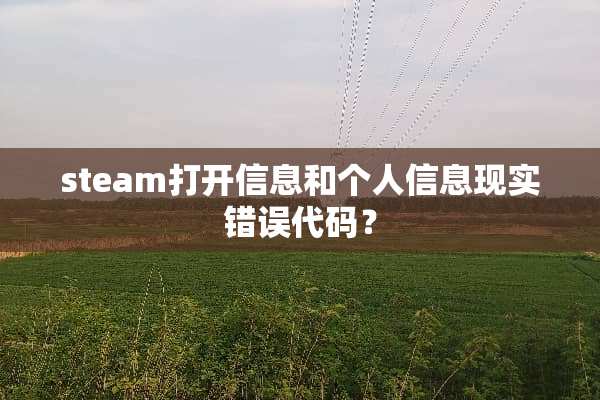 steam打开信息和个人信息现实错误代码？