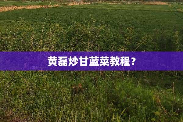 黄磊炒甘蓝菜教程？