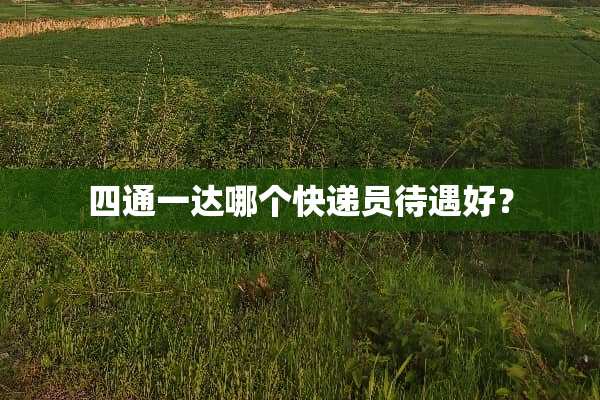四通一达哪个快递员待遇好？