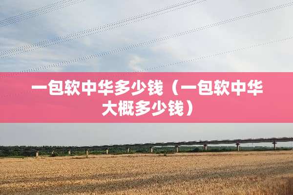 一包软中华多少钱（一包软中华大概多少钱）