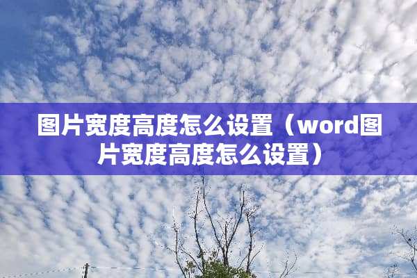 图片宽度高度怎么设置（word图片宽度高度怎么设置）