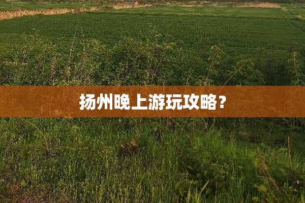 扬州晚上游玩攻略？