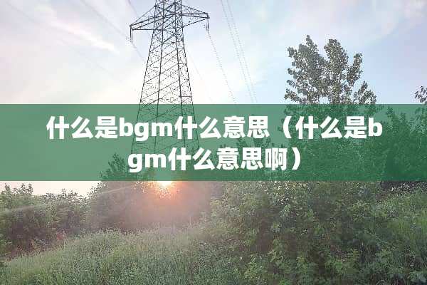 什么是bgm什么意思（什么是bgm什么意思啊）