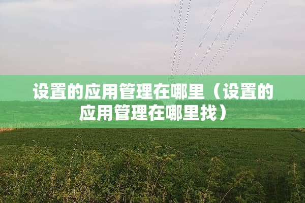 设置的应用管理在哪里（设置的应用管理在***）
