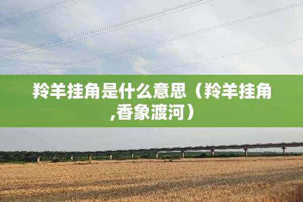 羚羊挂角是什么意思（羚羊挂角,香象渡河）