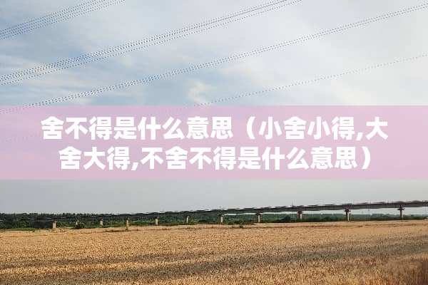 舍不得是什么意思（小舍小得,大舍大得,不舍不得是什么意思）