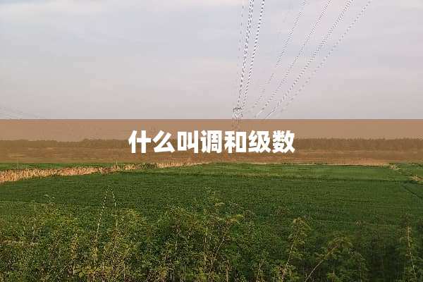 什么叫调和级数