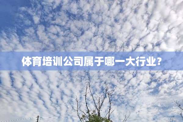 体育培训公司属于哪一大行业？