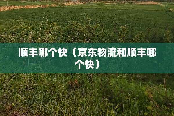 顺丰哪个快（京东物流和顺丰哪个快）