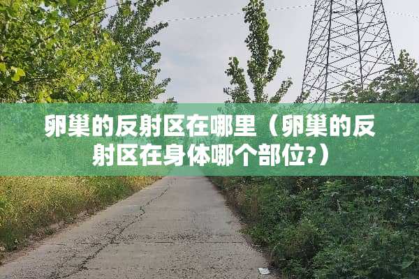 卵巢的反射区在哪里（卵巢的反射区在身体哪个部位?）