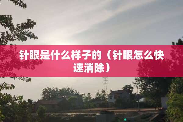 针眼是什么样子的（针眼怎么快速消除）