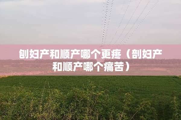 刨妇产和顺产哪个更疼（剖妇产和顺产哪个痛苦）
