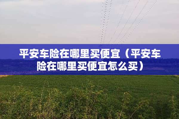 平安车险在哪里买便宜（平安车险在哪里买便宜怎么买）