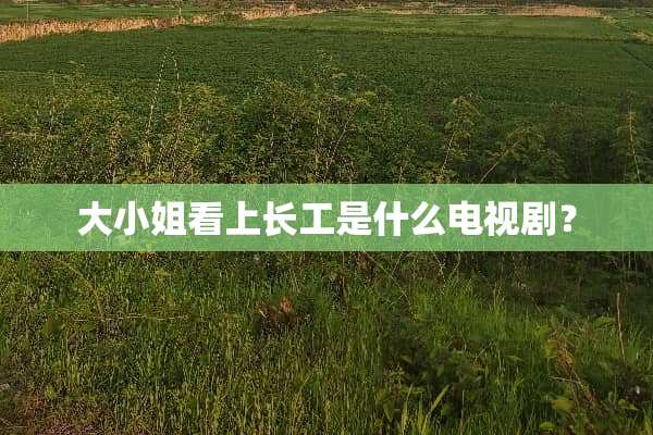 大小姐看上长工是什么电视剧？