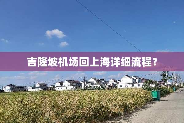 吉隆坡机场回上海详细流程？