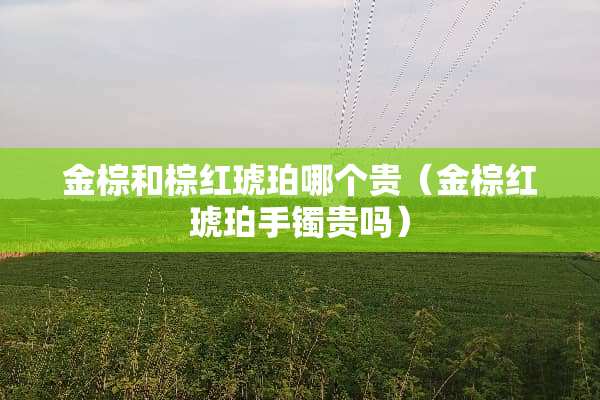 金棕和棕红琥珀哪个贵（金棕红琥珀手镯贵吗）