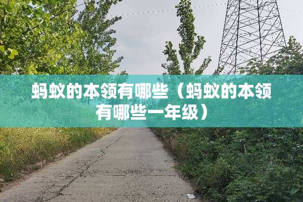 蚂蚁的本领有哪些（蚂蚁的本领有哪些一年级）
