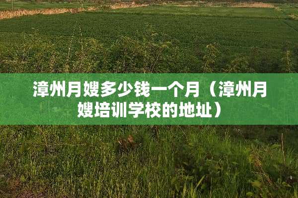 漳州月嫂多少钱一个月（漳州月嫂培训学校的地址）