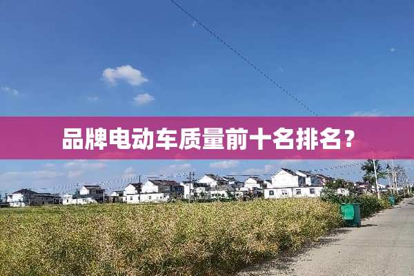 品牌电动车质量前十名排名？