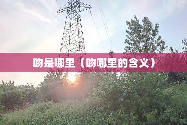 吻是哪里（吻哪里的含义）