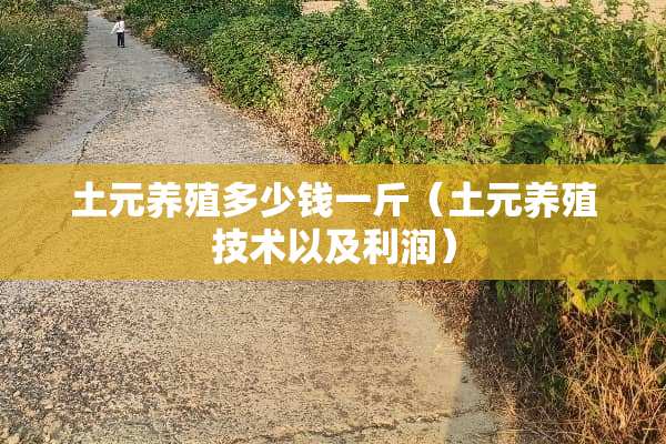 土元养殖多少钱一斤（土元养殖技术以及利润）