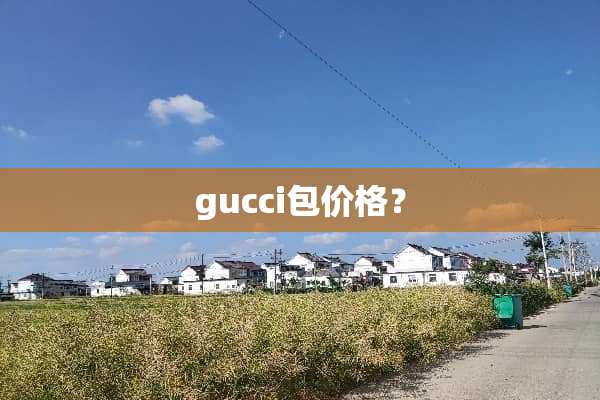 gucci包价格？