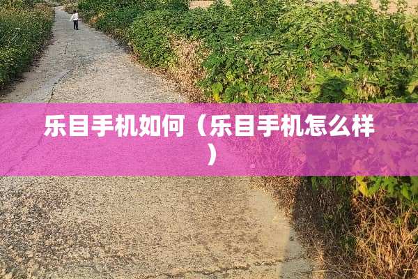 乐目手机如何（乐目手机怎么样）