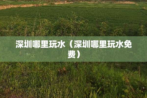 深圳哪里玩水（深圳哪里玩水免费）