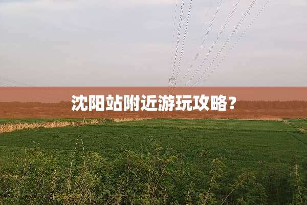 沈阳站附近游玩攻略？