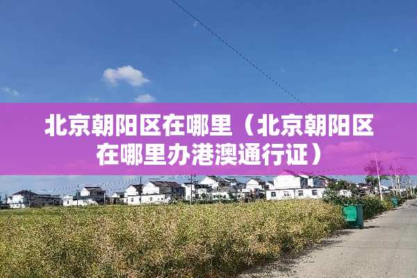 北京朝阳区在哪里（北京朝阳区在哪里办港澳***）